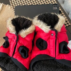 Dog coats